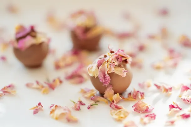 Casino Palm Slots Aplicación Android/iOS